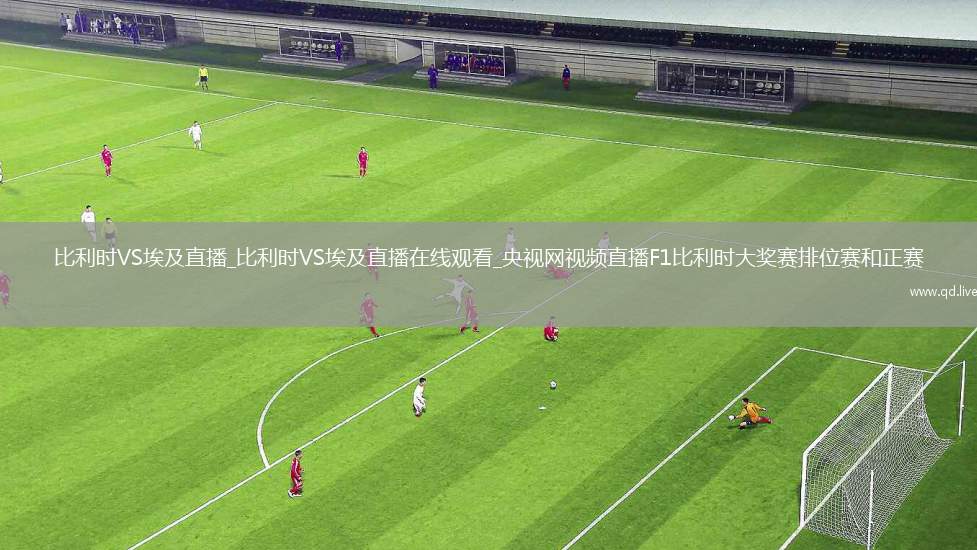 比利时VS埃及直播_比利时VS埃及直播在线观看_央视网视频直播F1比利时大奖赛排位赛和正赛