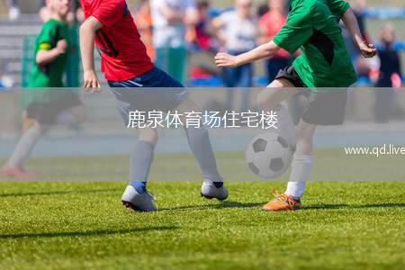鹿泉体育场住宅楼